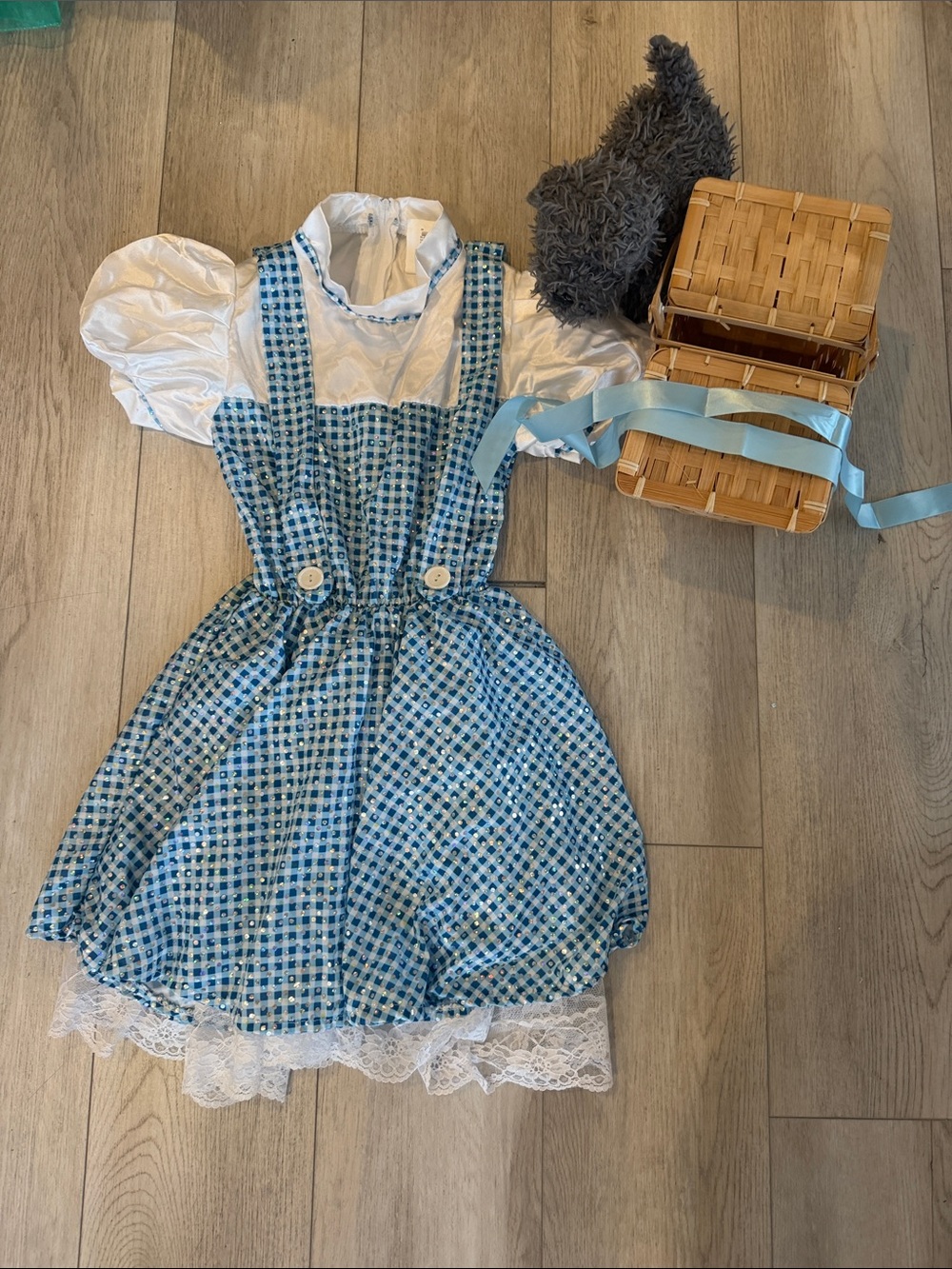 5- piece Wizard of Oz Blue Dorothy Gingham Girls' Dress with accessories